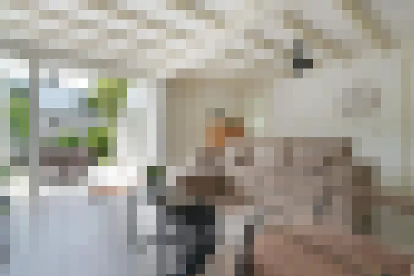 Klepperstee-Kastanje 3 Ouddorp thumbnail 5