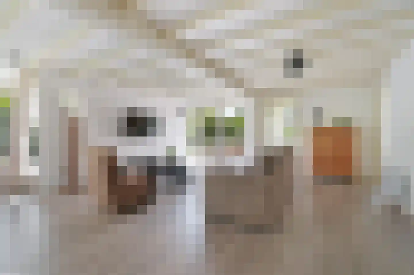 Klepperstee-Kastanje 3 Ouddorp thumbnail 6