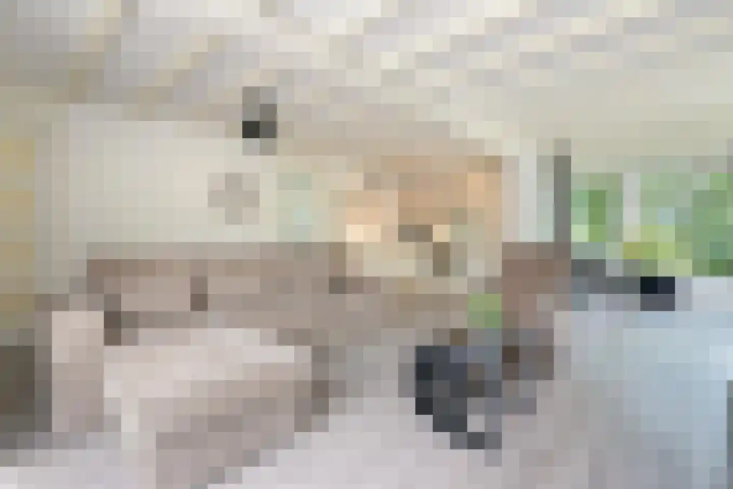 Klepperstee-Kastanje 3 Ouddorp thumbnail 7