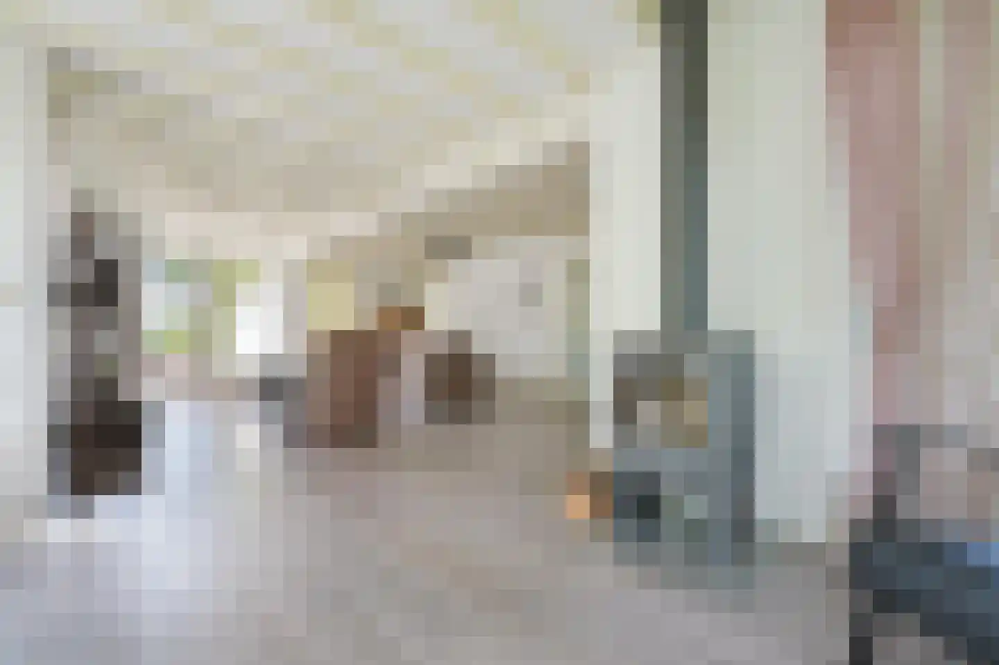 Klepperstee-Kastanje 3 Ouddorp thumbnail 8