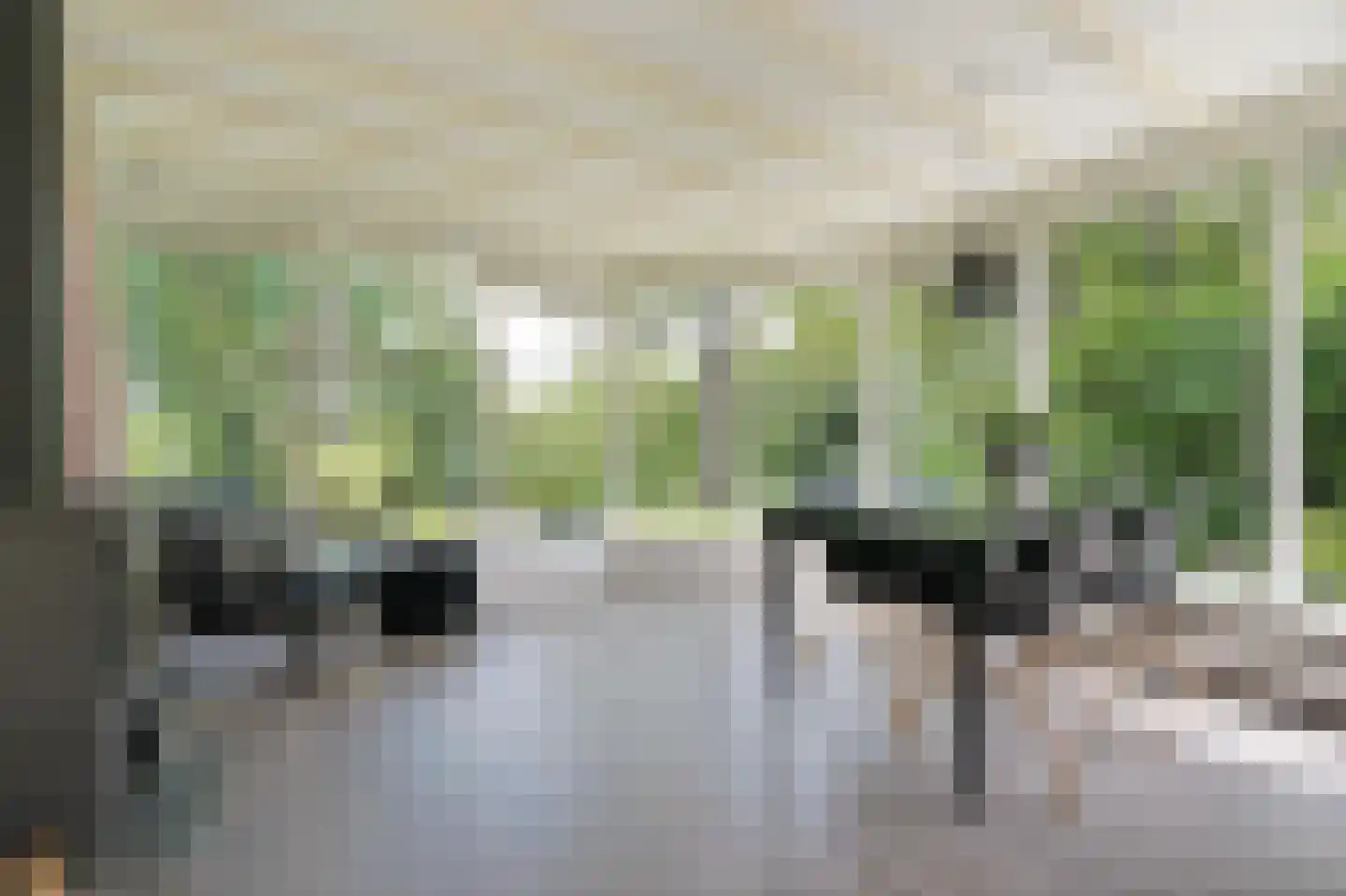 Klepperstee-Kastanje 3 Ouddorp thumbnail 9