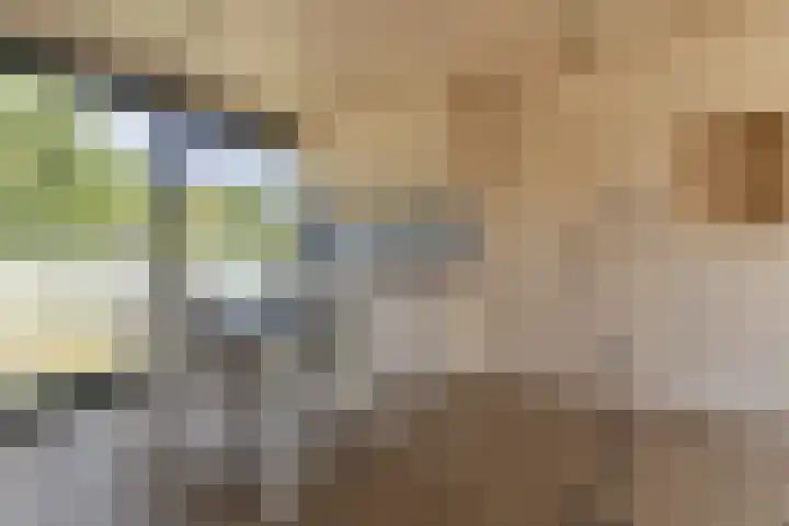 Klepperstee - Kievit 1 15 Ouddorp thumbnail 13