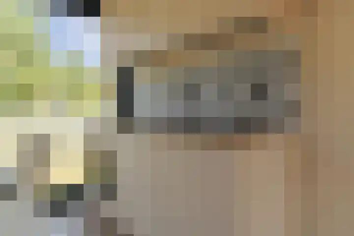 Klepperstee - Kievit 1 15 Ouddorp thumbnail 14