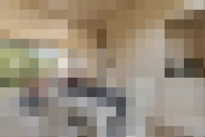 Klepperstee - Kievit 1 15 Ouddorp thumbnail 15