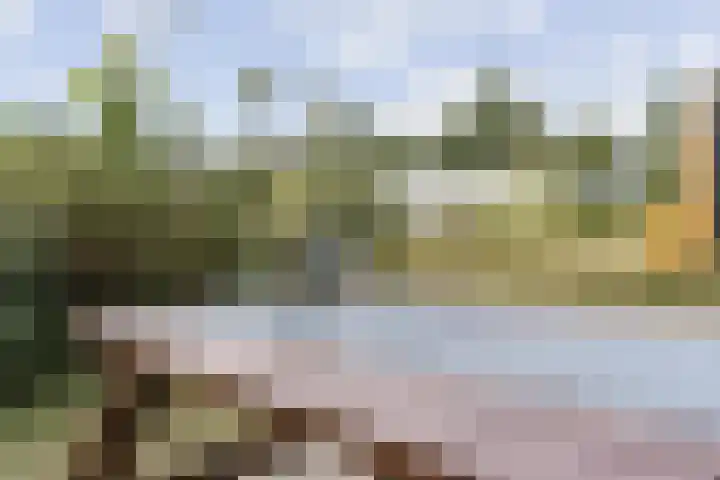 Klepperstee - Kievit 1 15 Ouddorp thumbnail 27