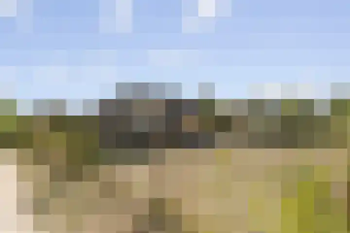Klepperstee - Kievit 1 15 Ouddorp thumbnail 28