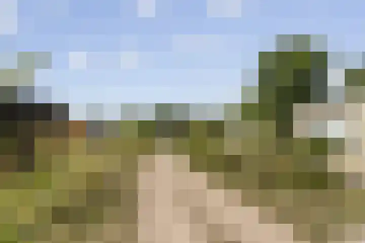 Klepperstee - Kievit 1 15 Ouddorp thumbnail 31