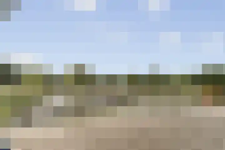 Klepperstee - Kievit 1 15 Ouddorp thumbnail 34