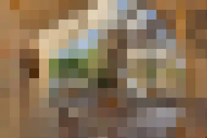Klepperstee - Kievit 1 15 Ouddorp thumbnail 35