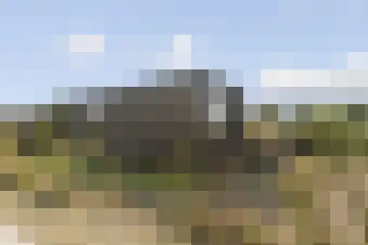 Klepperstee - Kievit 1 15 Ouddorp thumbnail 5