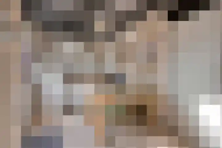 Klepperstee-Linde 12 Ouddorp thumbnail 13