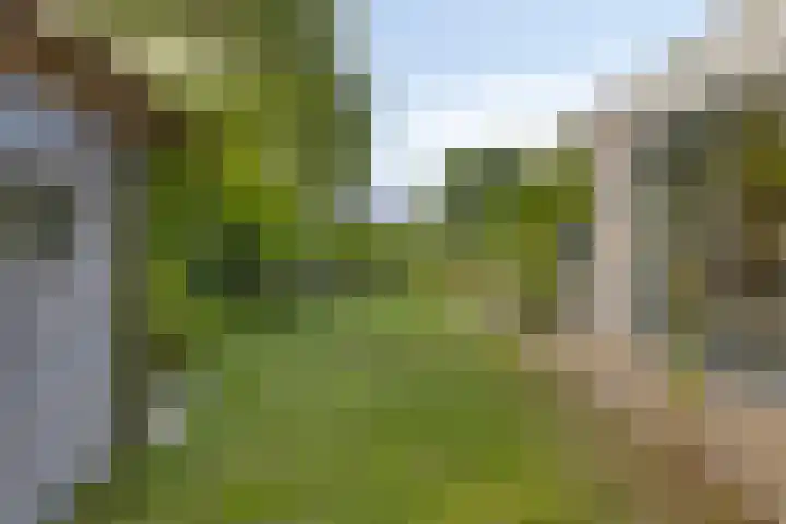 Klepperstee-Linde 12 Ouddorp thumbnail 32