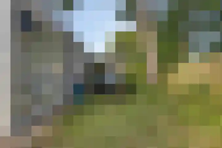 Klepperstee-Linde 12 Ouddorp thumbnail 33