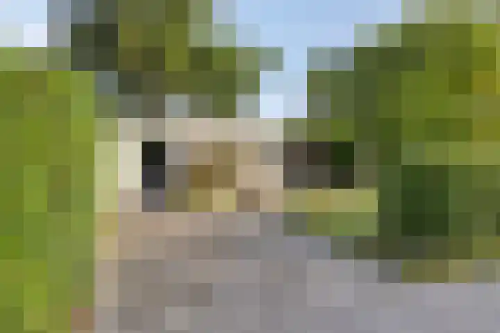 Klepperstee-Linde 12 Ouddorp thumbnail 38