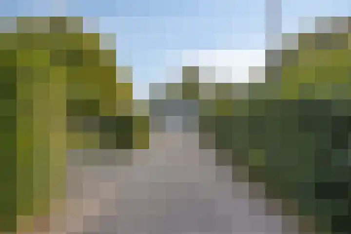 Klepperstee-Linde 12 Ouddorp thumbnail 40