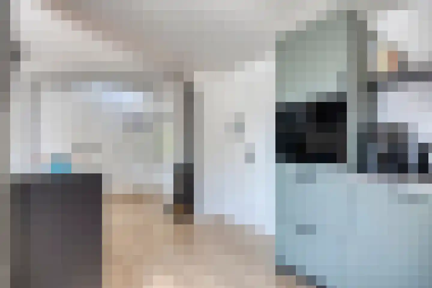 Klepperstee-Mimosa 3 Ouddorp thumbnail 10