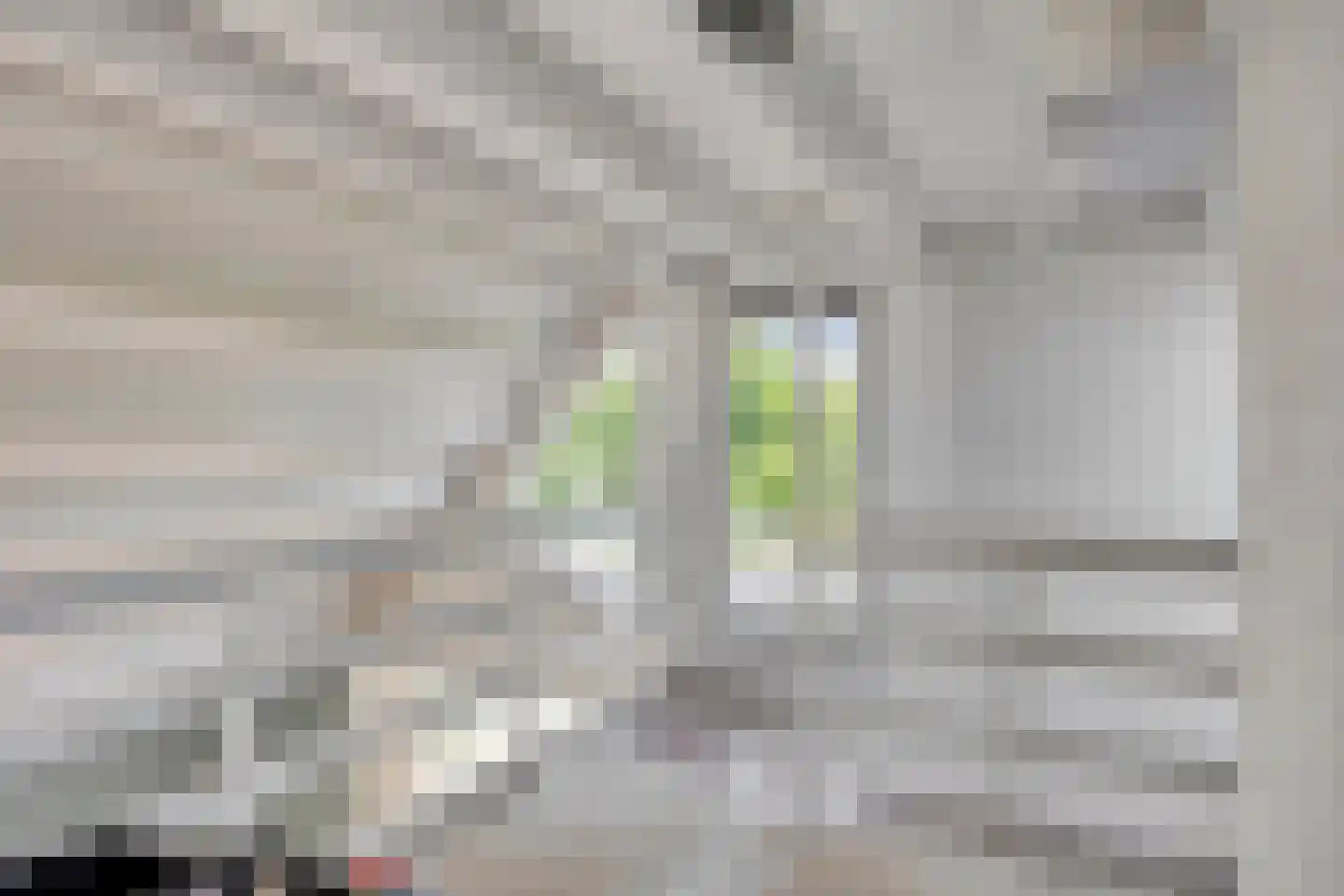 Klepperstee-Mimosa 3 Ouddorp thumbnail 11