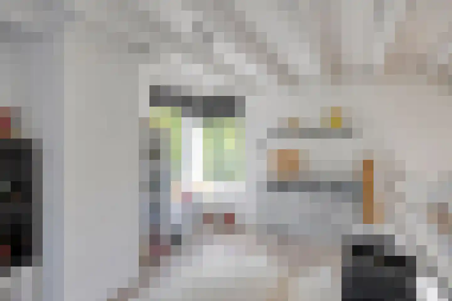 Klepperstee-Mimosa 3 Ouddorp thumbnail 12