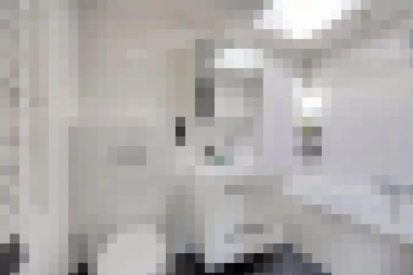Klepperstee-Mimosa 3 Ouddorp thumbnail 17