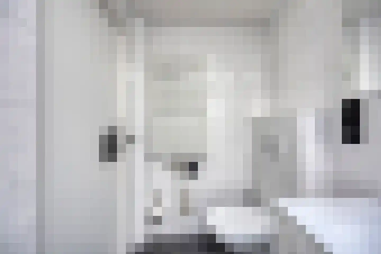 Klepperstee-Mimosa 3 Ouddorp thumbnail 18