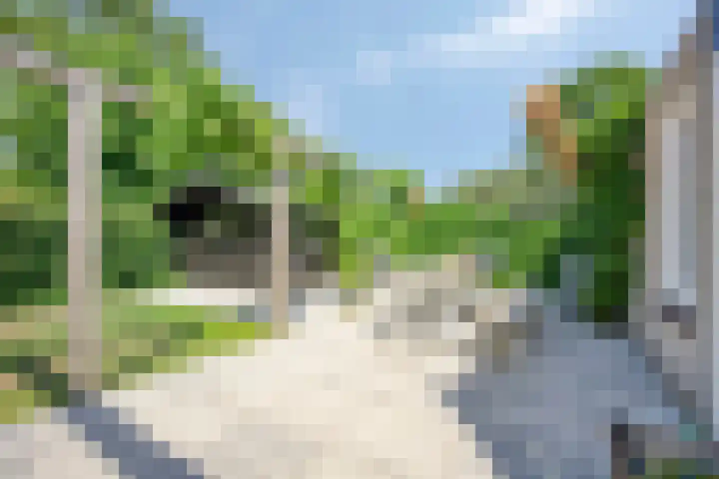 Klepperstee-Mimosa 3 Ouddorp thumbnail 20