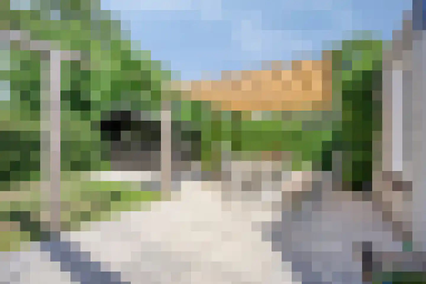 Klepperstee-Mimosa 3 Ouddorp thumbnail 21