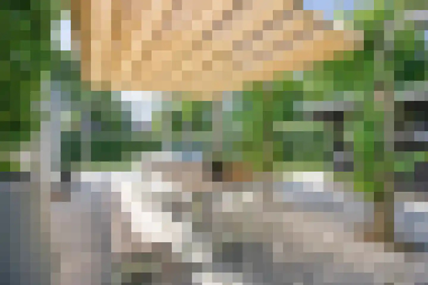 Klepperstee-Mimosa 3 Ouddorp thumbnail 22