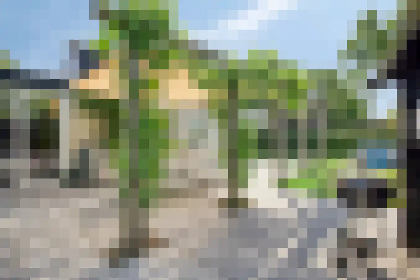 Klepperstee-Mimosa 3 Ouddorp thumbnail 23