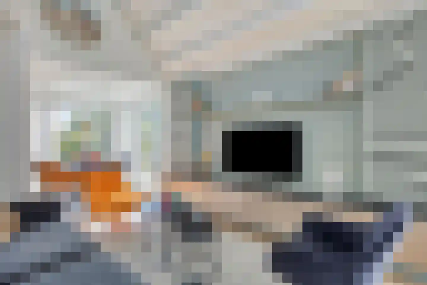 Klepperstee-Mimosa 3 Ouddorp thumbnail 4