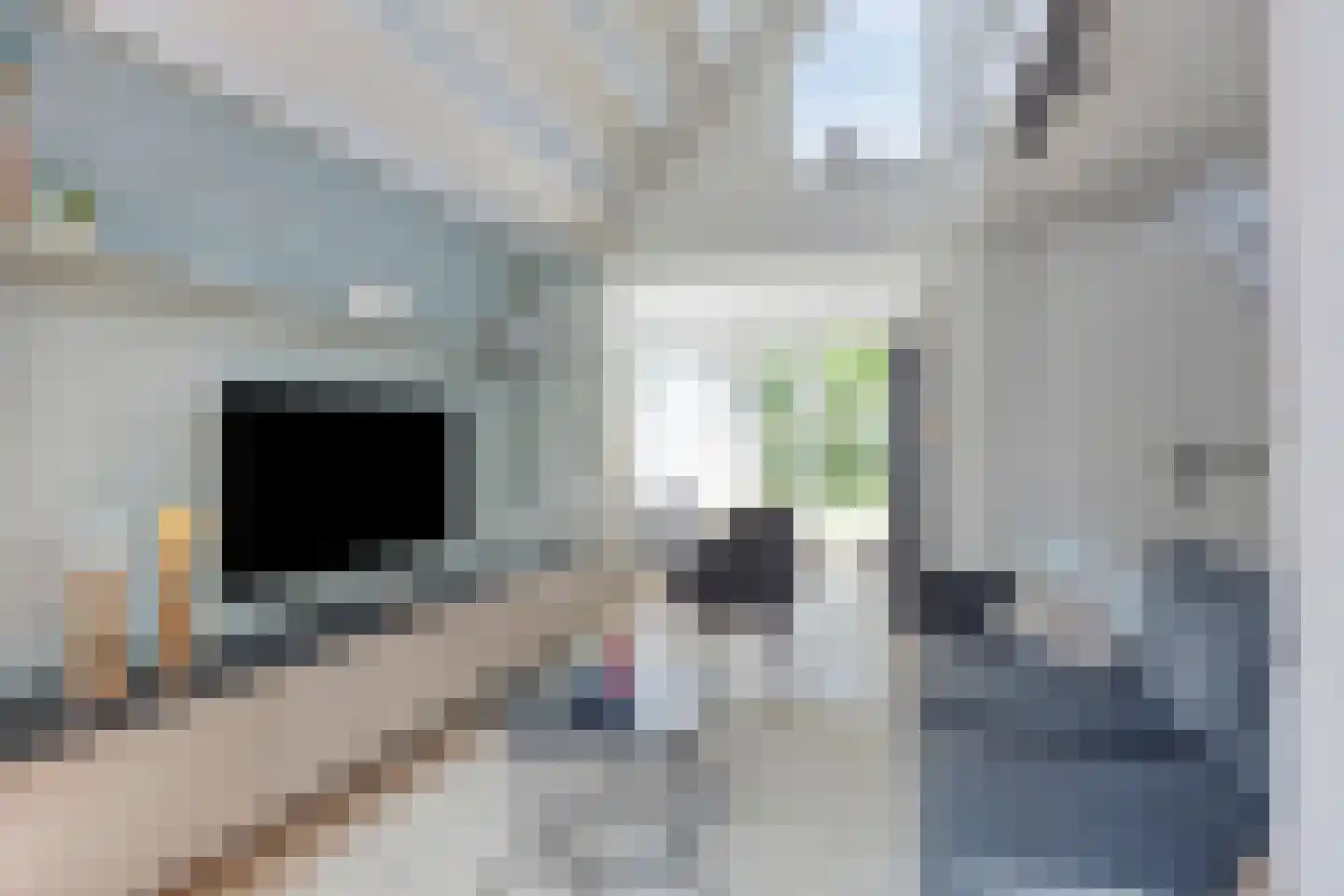 Klepperstee-Mimosa 3 Ouddorp thumbnail 5