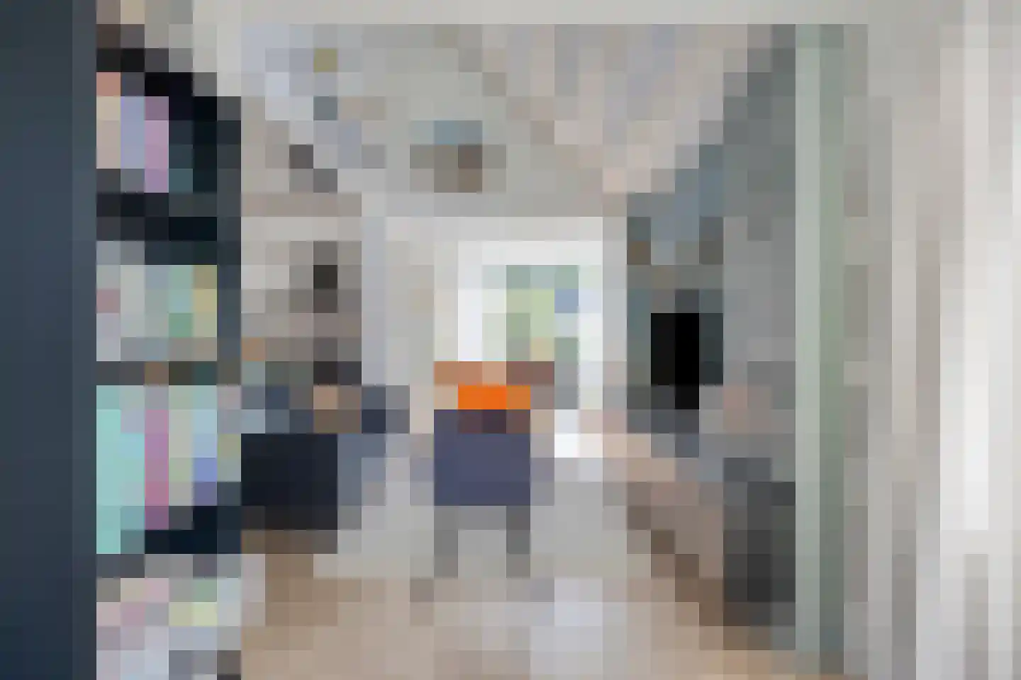 Klepperstee-Mimosa 3 Ouddorp thumbnail 6