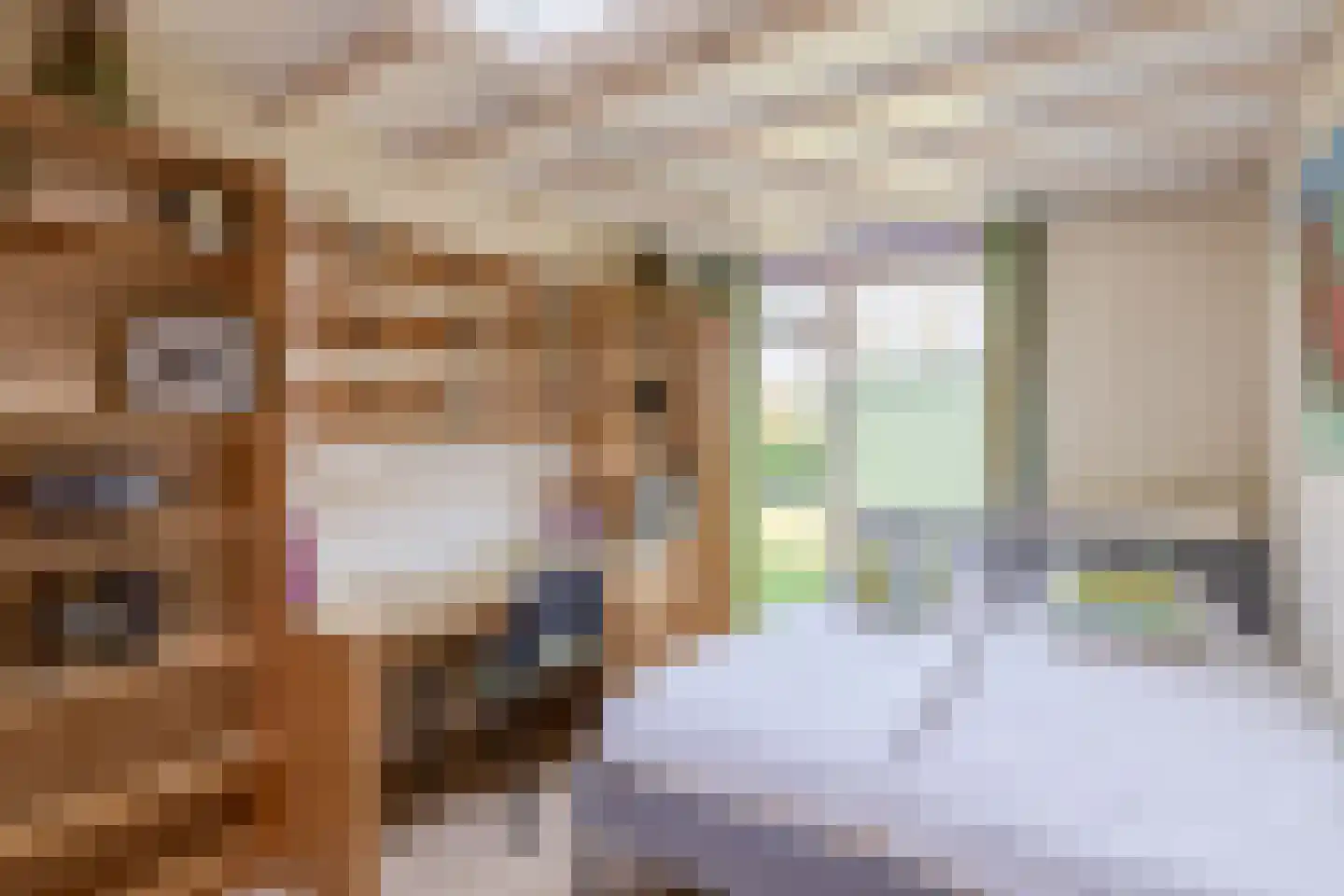 Klepperstee-Populier 9 Ouddorp thumbnail 22