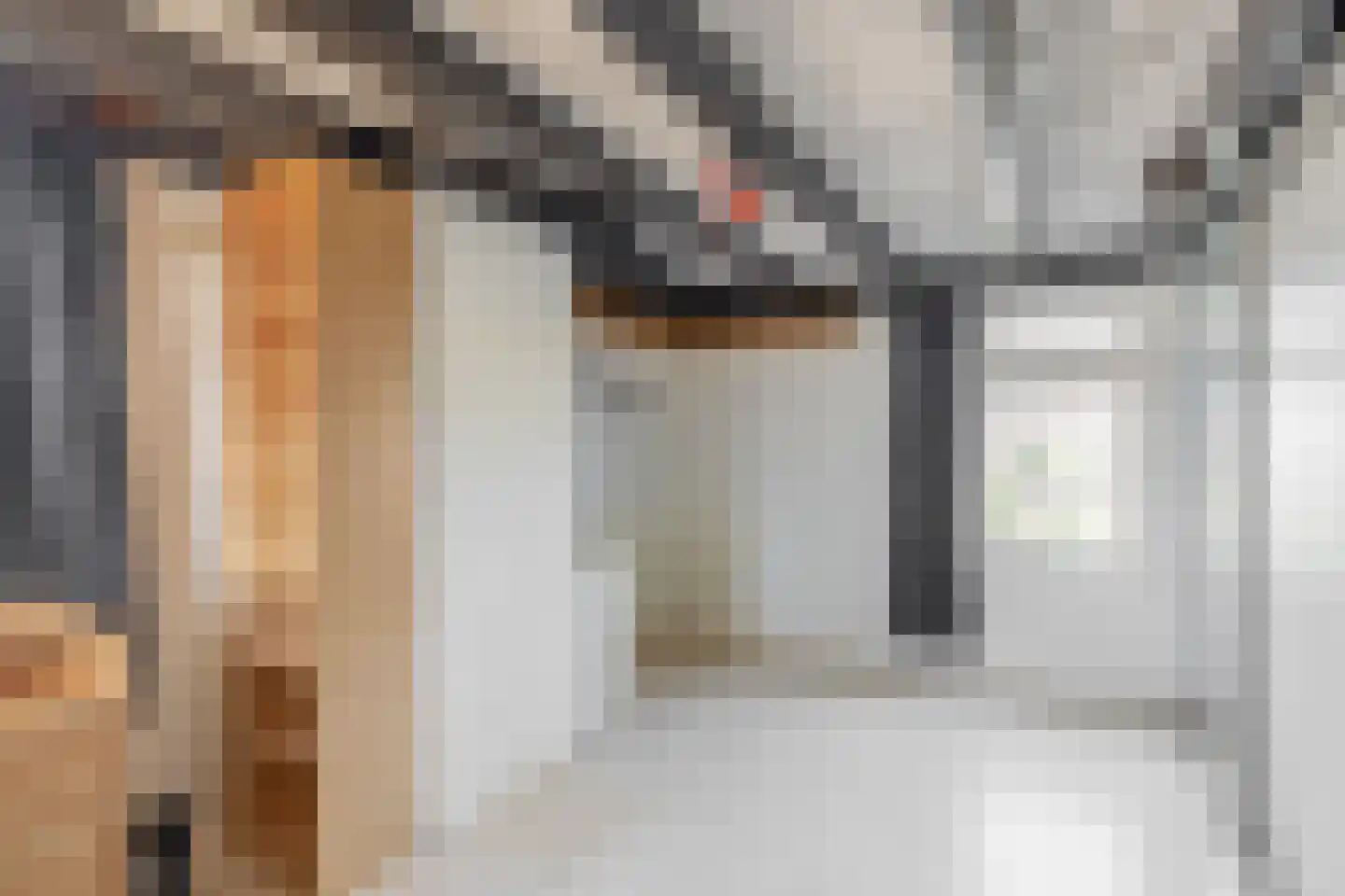 Klepperstee-Populier 9 Ouddorp thumbnail 25