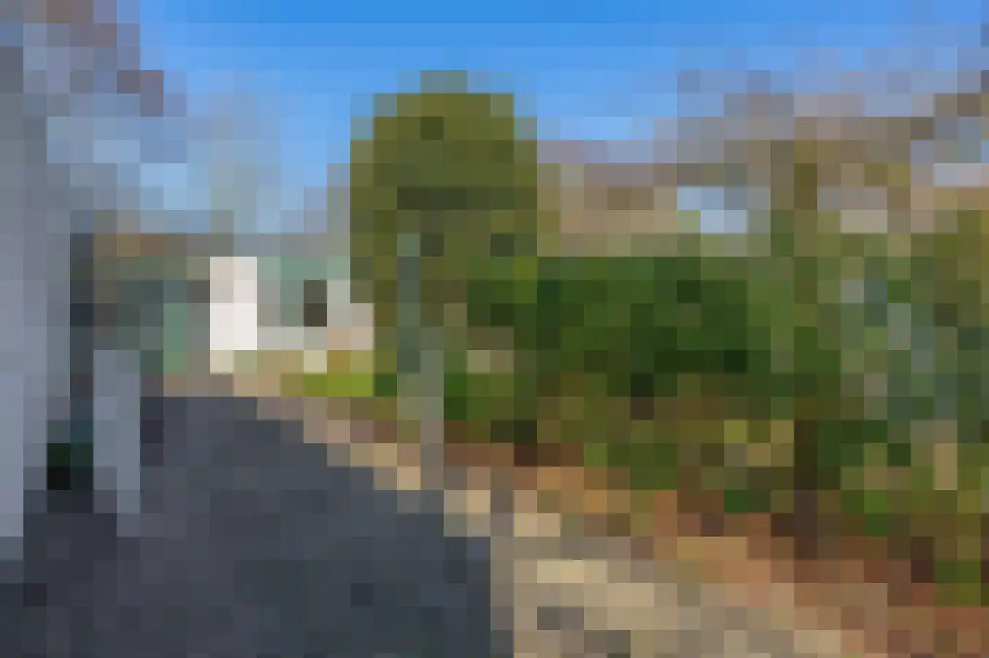 Klepperstee-Populier 9 Ouddorp thumbnail 27