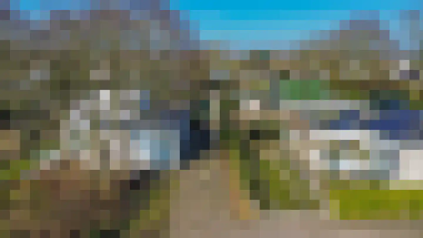 Klepperstee-Populier 9 Ouddorp thumbnail 34