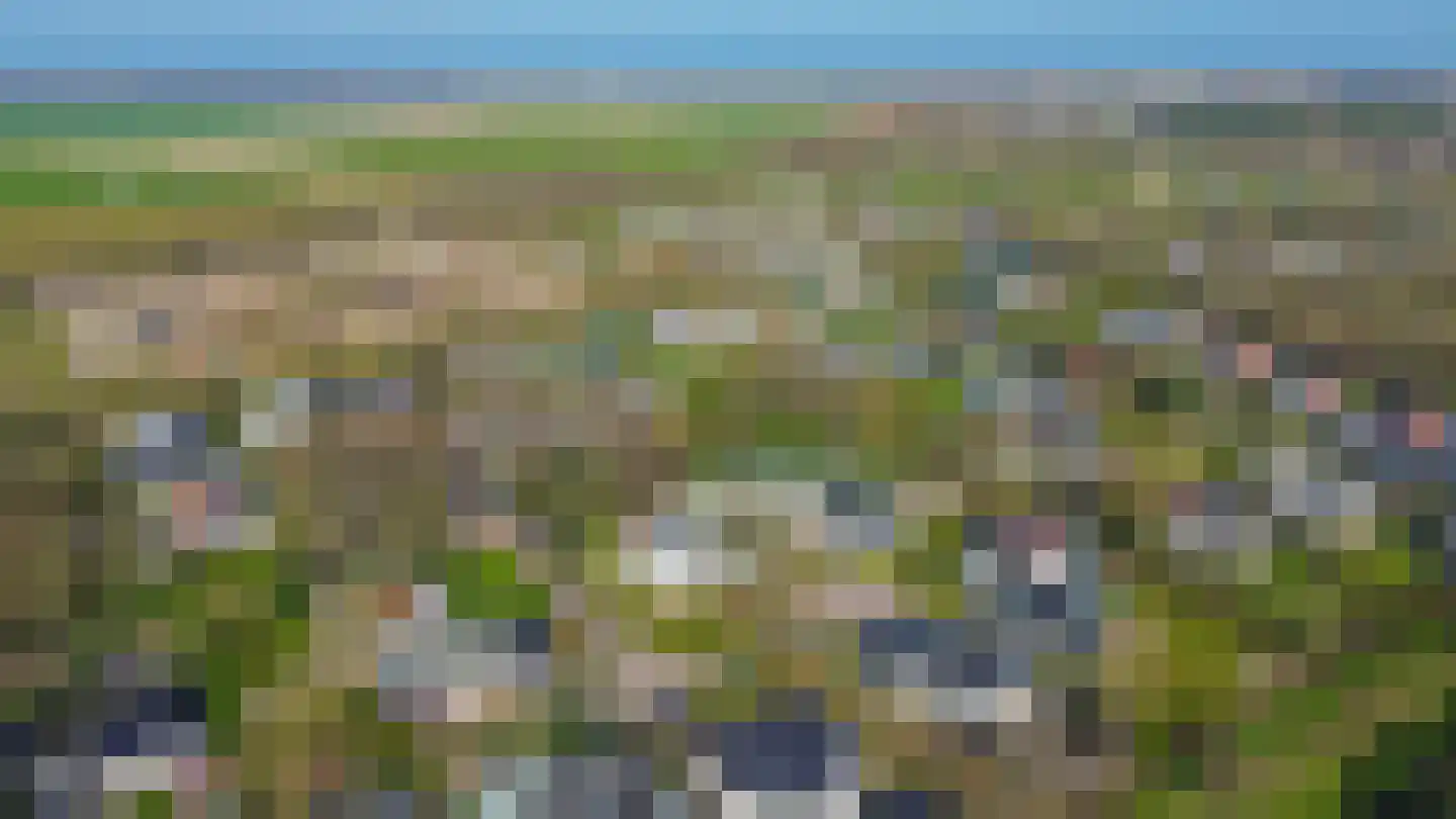 Klepperstee-Populier 9 Ouddorp thumbnail 35