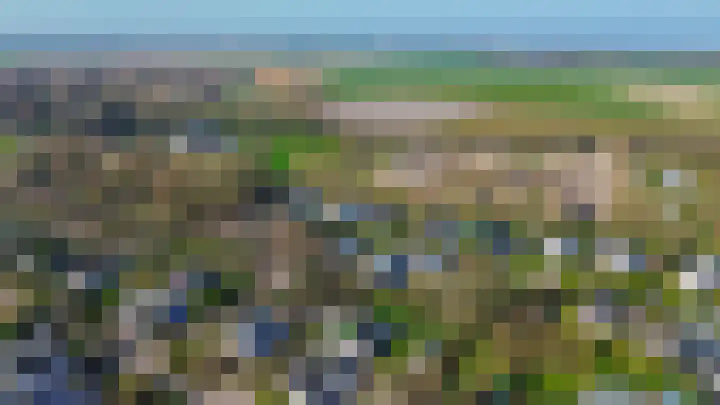 Klepperstee-Populier 9 Ouddorp thumbnail 36