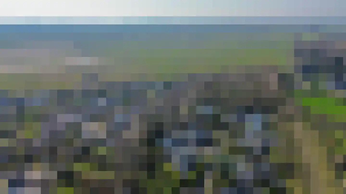 Klepperstee-Populier 9 Ouddorp thumbnail 37