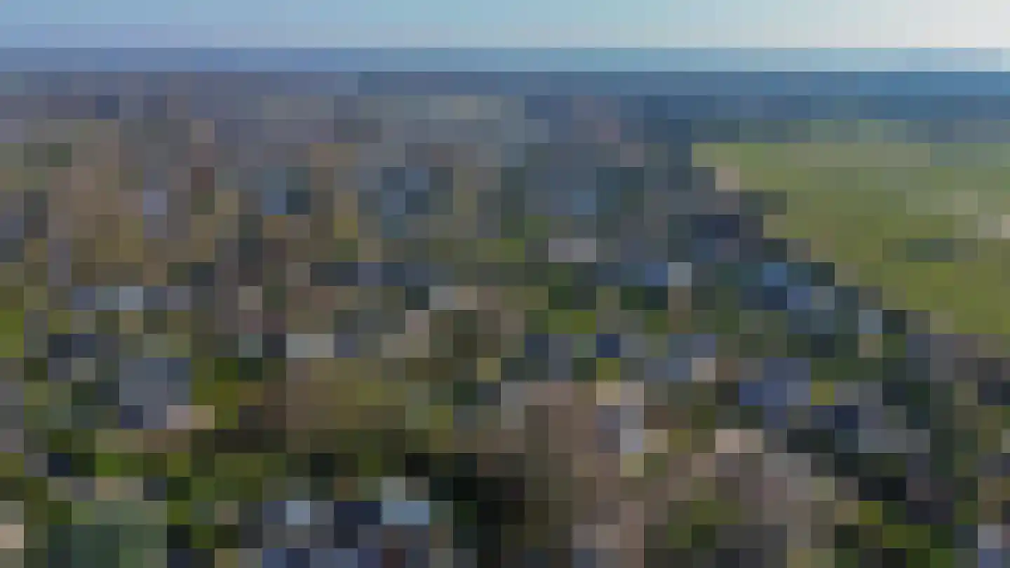 Klepperstee-Populier 9 Ouddorp thumbnail 38