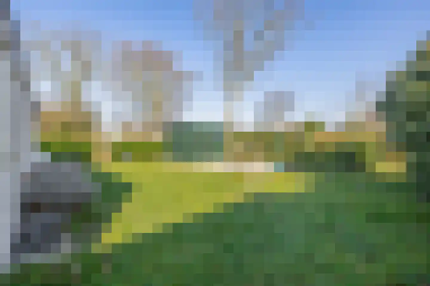 Klepperstee-Populier 9 Ouddorp thumbnail 4