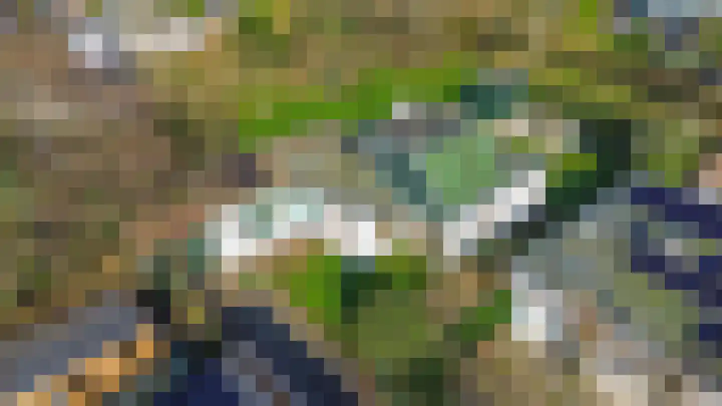 Klepperstee-Populier 9 Ouddorp thumbnail 40