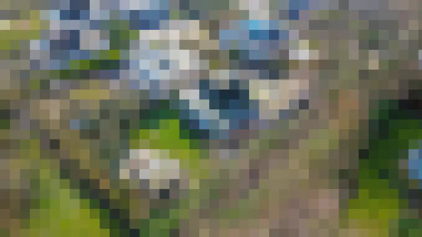 Klepperstee-Populier 9 Ouddorp thumbnail 41