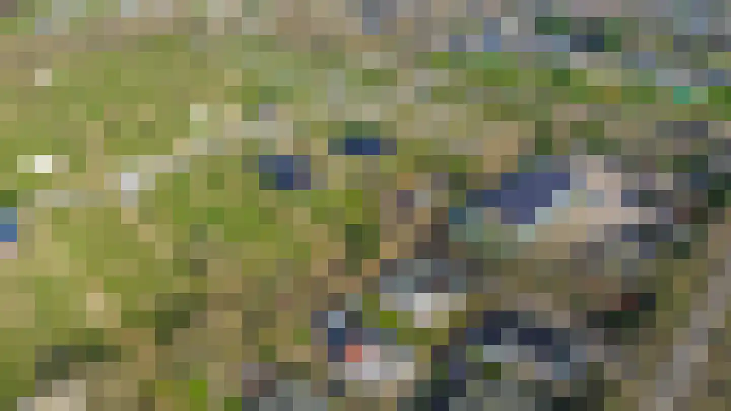 Klepperstee-Populier 9 Ouddorp thumbnail 43