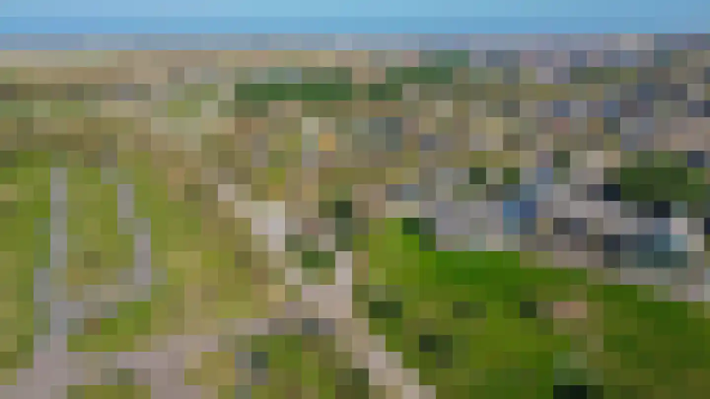 Klepperstee-Populier 9 Ouddorp thumbnail 46