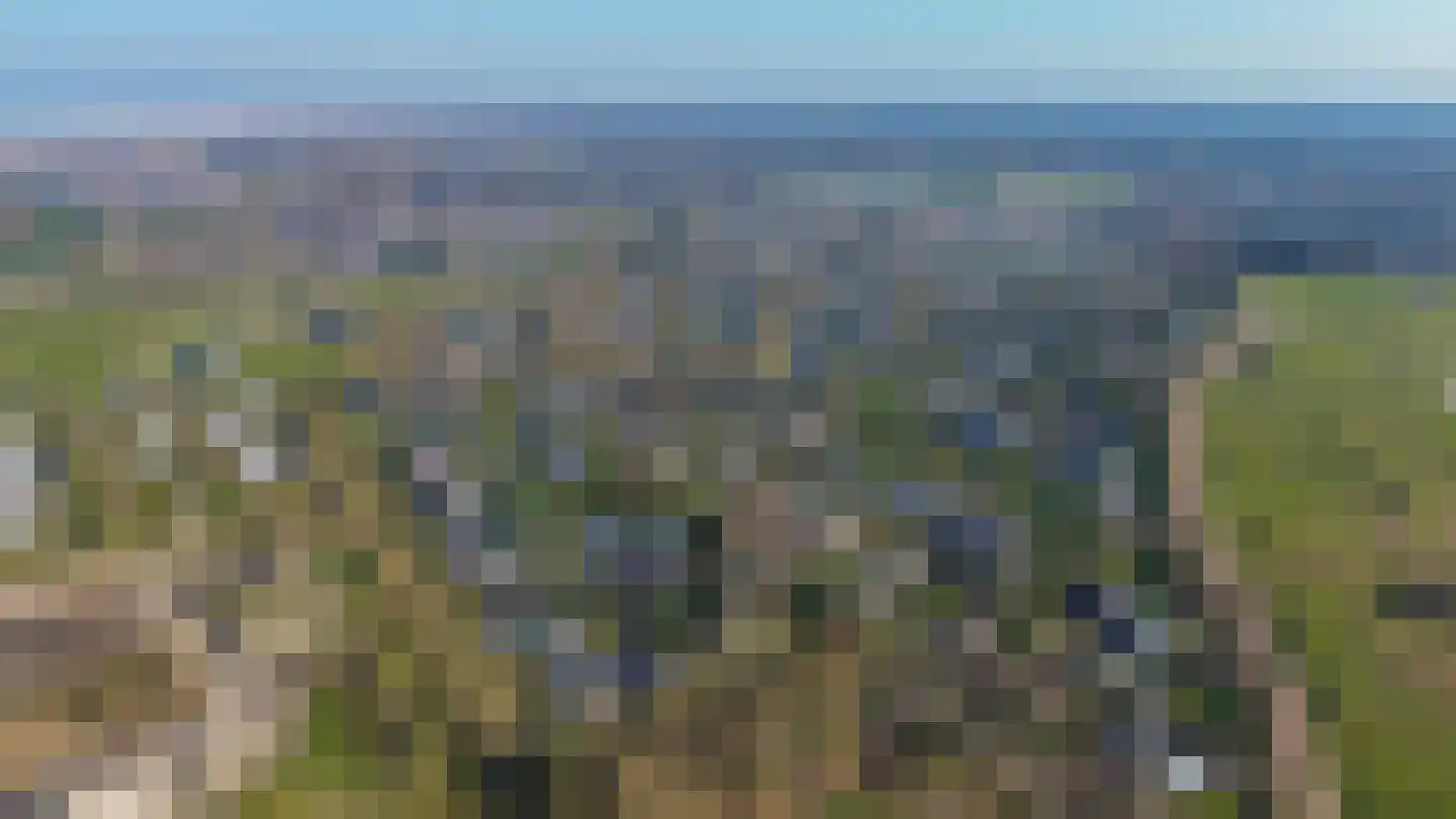 Klepperstee-Populier 9 Ouddorp thumbnail 51