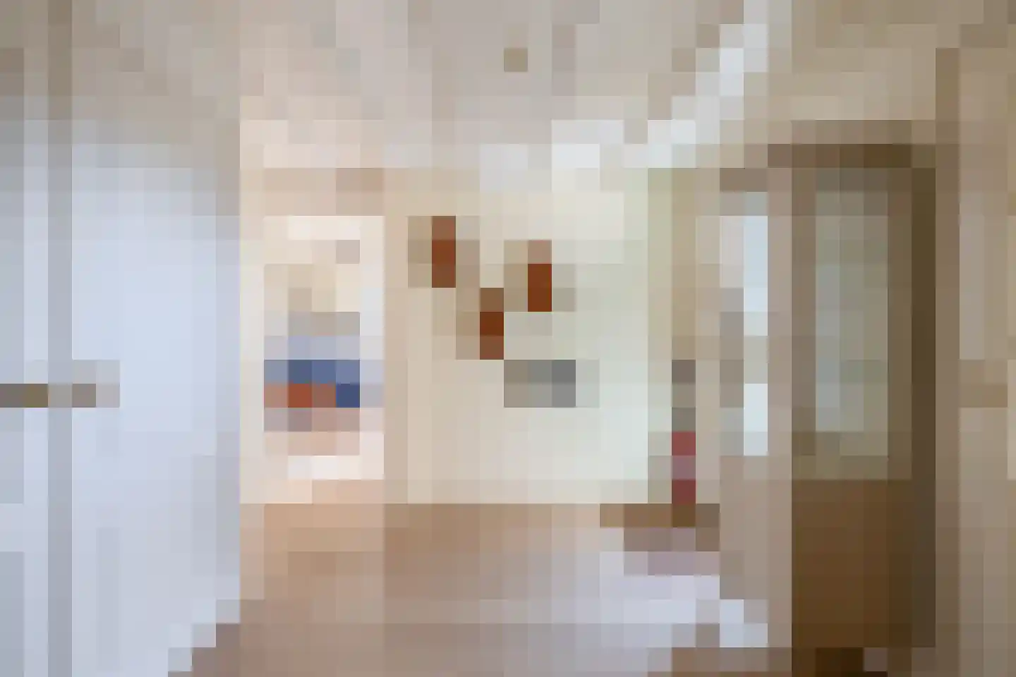 Klepperstee-Populier 9 Ouddorp thumbnail 7