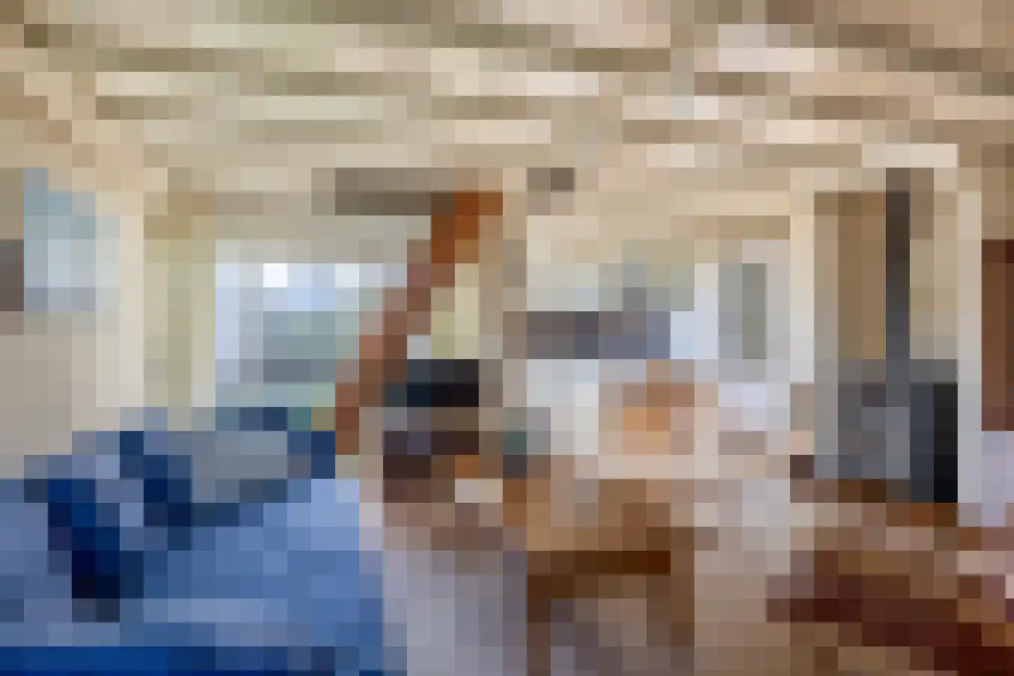 Klepperstee-Populier 9 Ouddorp thumbnail 8