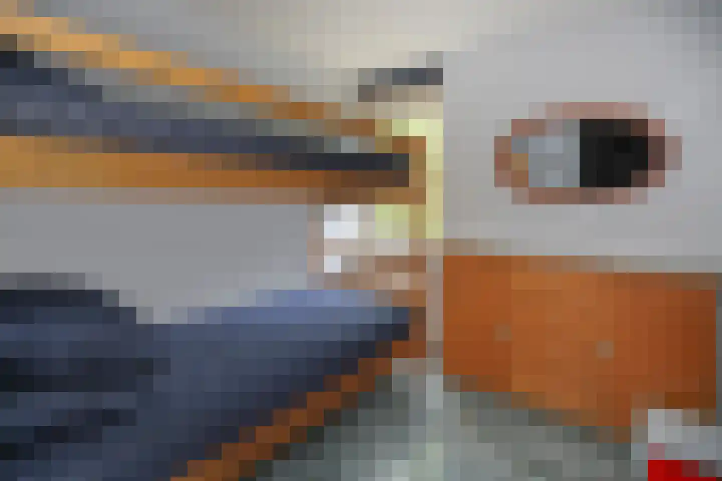 Klepperstee-Vlier 2 Ouddorp thumbnail 19