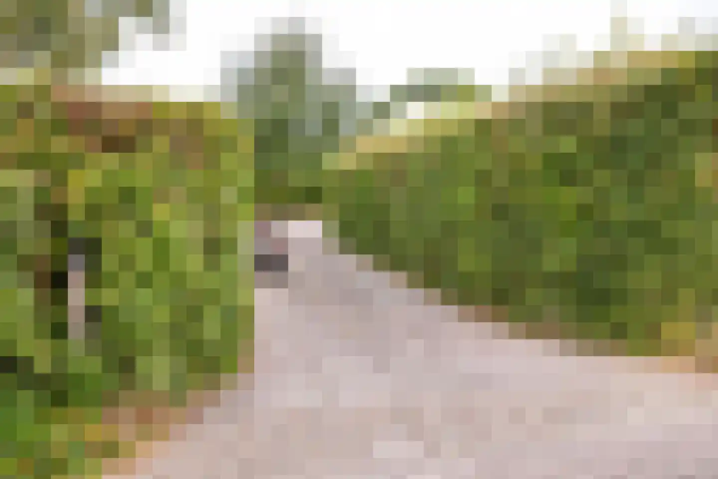 Klepperstee-Vlier 2 Ouddorp thumbnail 31
