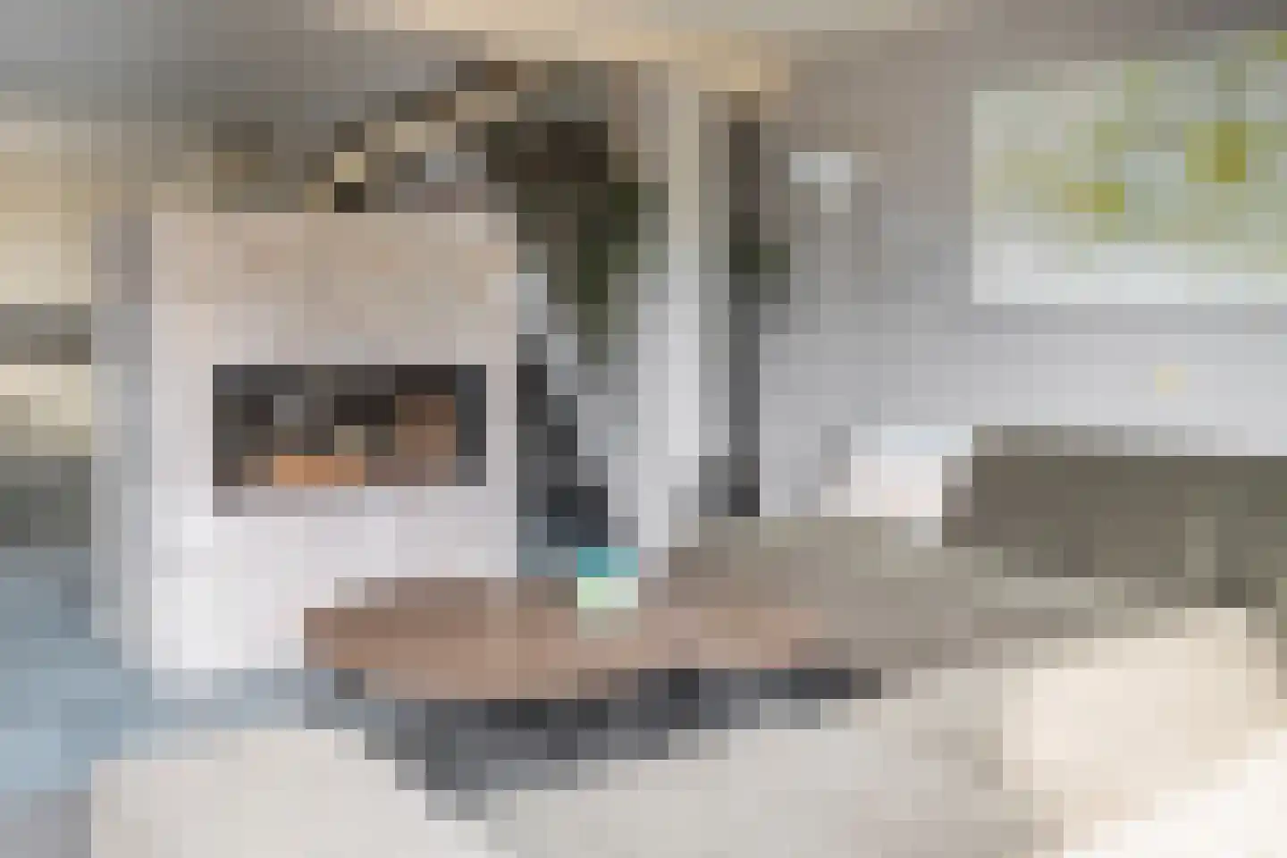 Klepperstee-Vlier 2 Ouddorp thumbnail 8